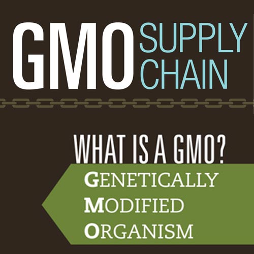 GMO Supply Chain